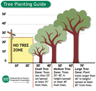 tree-planting-guide.jpg